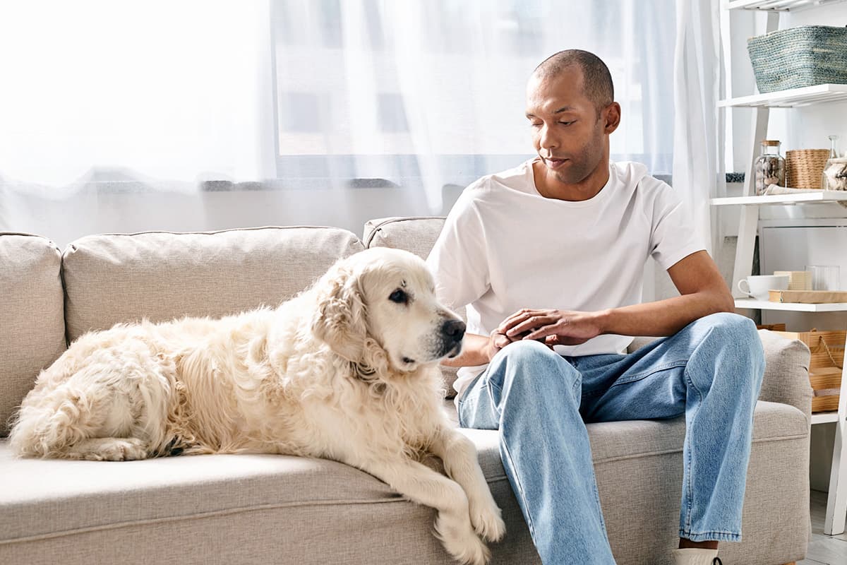 dog and person on sofa