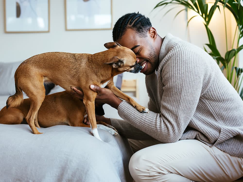 Foster-to-Adopt Dogs: What You Need to Know