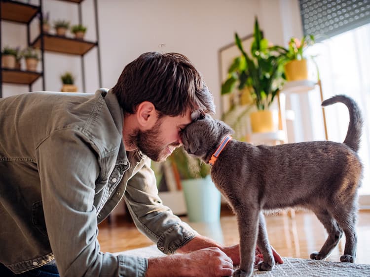 Does Your Cat Think You’re Their Mom?