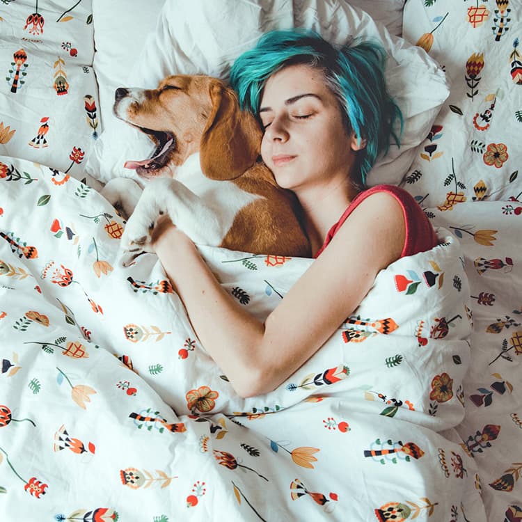 Does Your Dog Get a Bad Night’s Sleep When They Share a Bed With You?