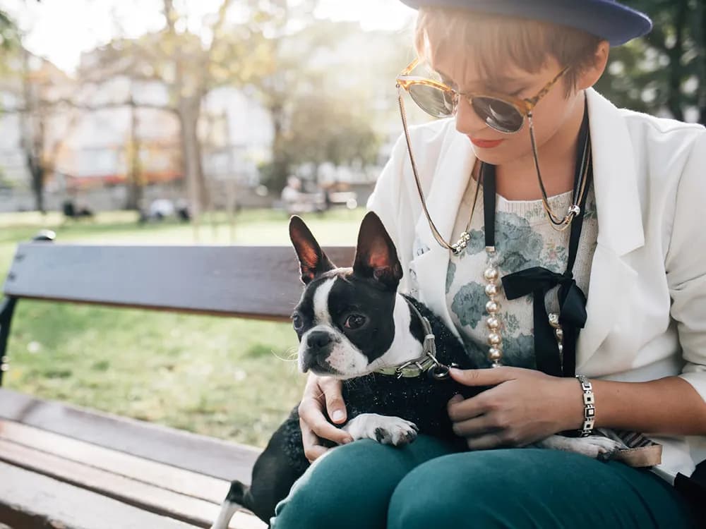 woman holding boston terrier while sitting on a bench outside