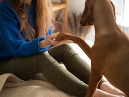 How to Trim Your Dog’s Nails