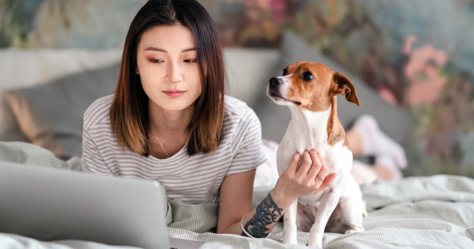 How to Spot a Pet Adoption Scam