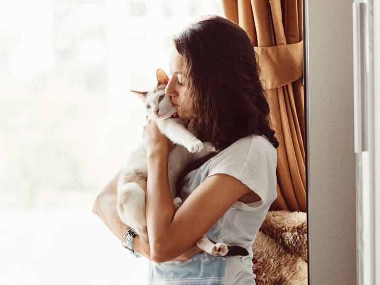 Why Do Cats Purr So Much? Find Out the Main Reason for This Behavior