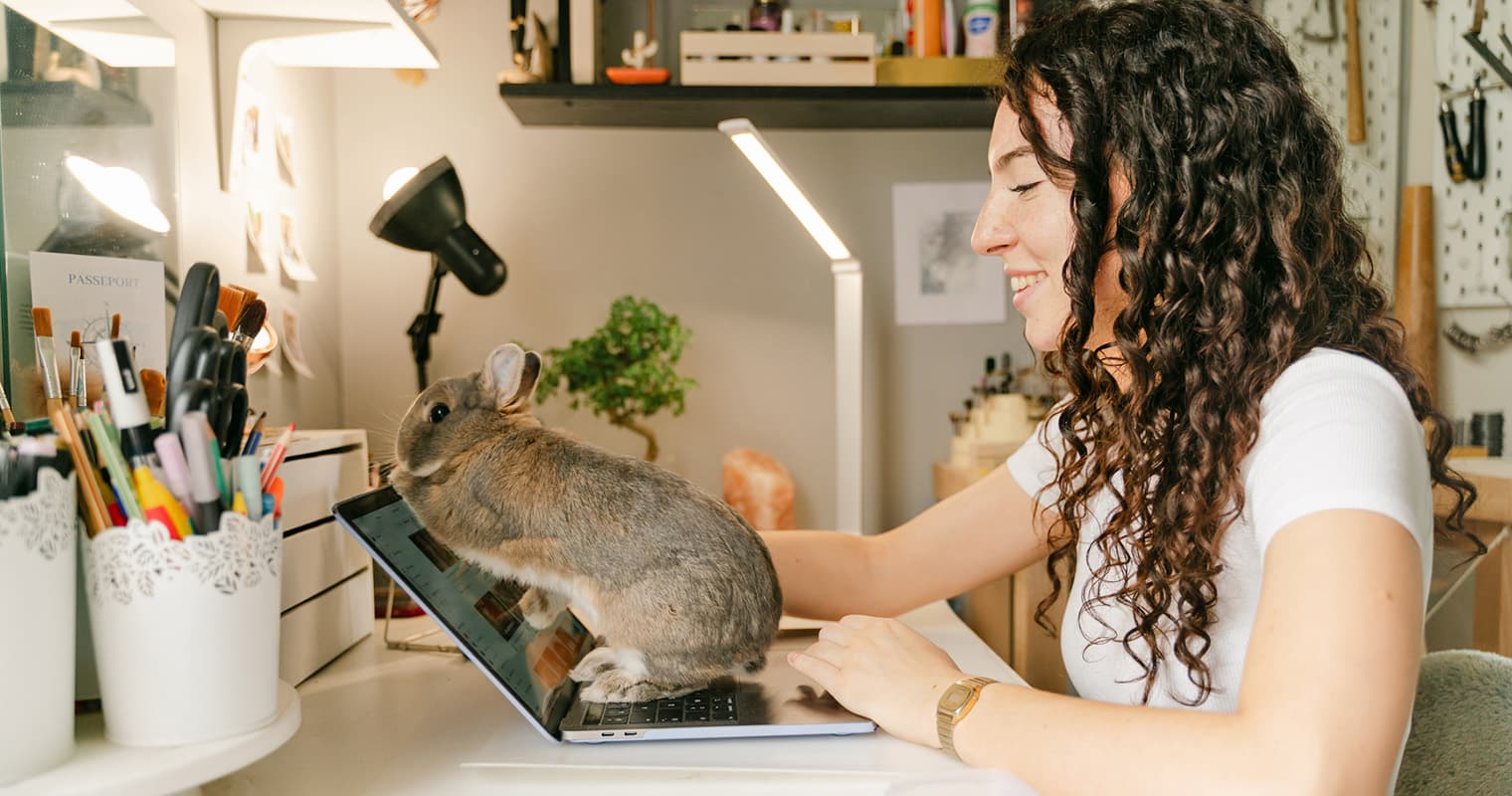 Did You Know You Can Foster Rabbits?