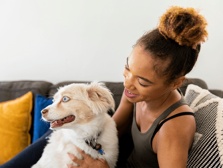 What Is a Pet Wellness Plan, Really?