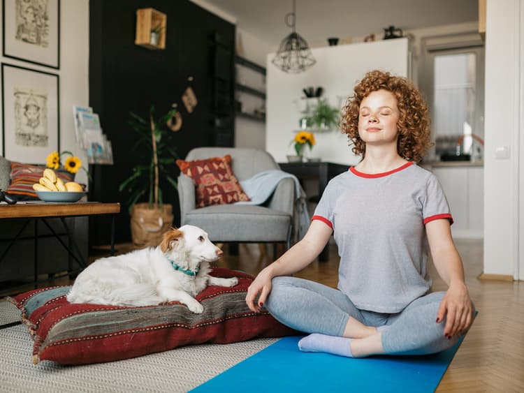 Tai Chi Practices Help With Dog Handling