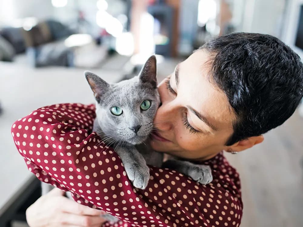 woman holding russian blue cat