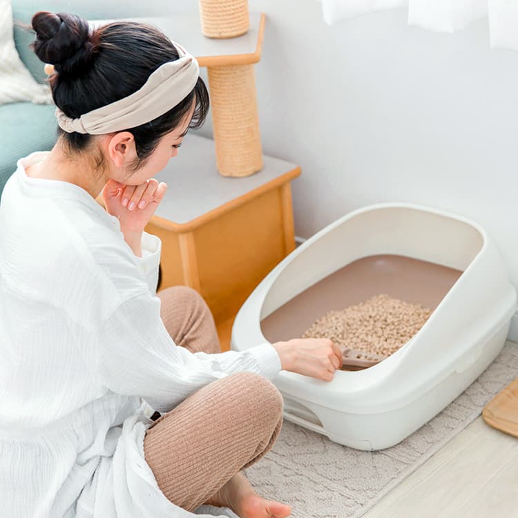 A Complete Guide to How Often to Change Your Cat’s Litter