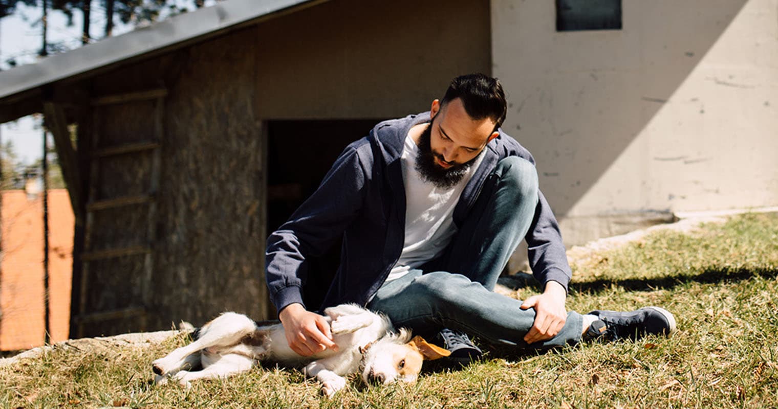 What to Do if You Find a Lost or Stray Pet?