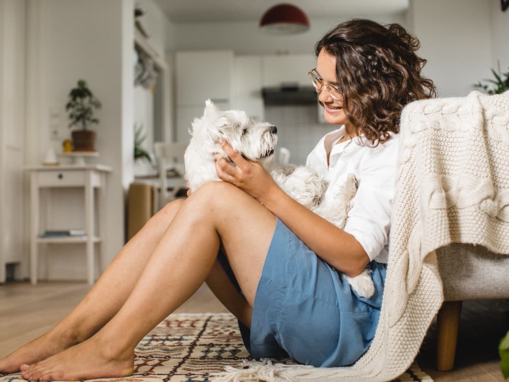 How to Choose a Trustworthy Dog Sitter