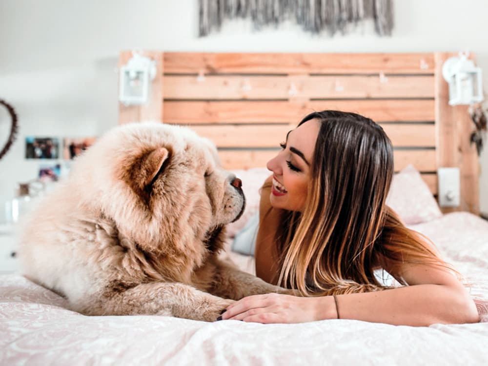 Chinese Dog Breeds: Discover the Rich History Behind These Dogs