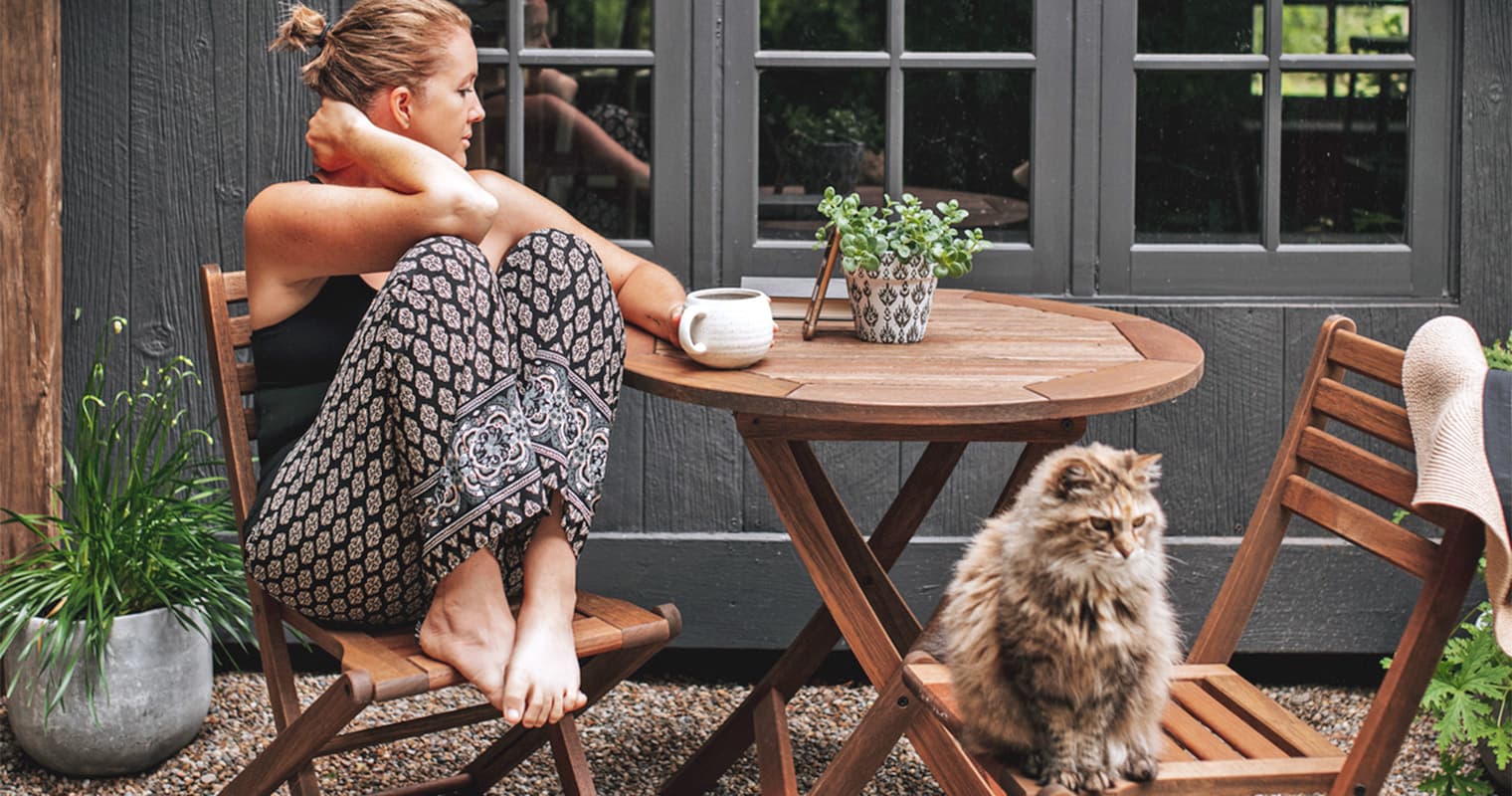 Red Flags in Cat Adoption: Why Am I Being Denied?