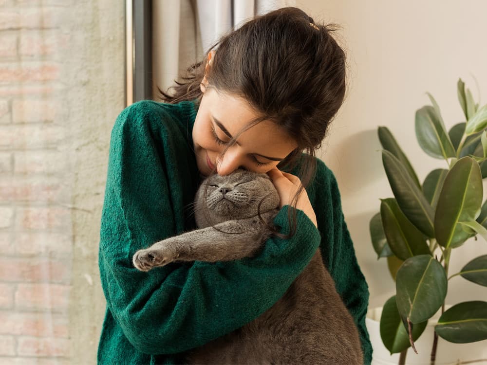 Woman Hugging Her Cute Cat In Apartment