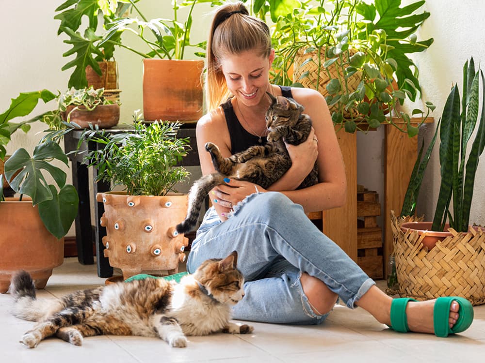 I Am a “Cat Lady” and I’m Not Miserable at All, Thank You Very Much