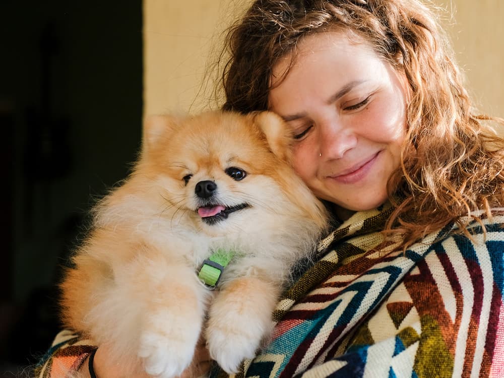 Dog Cuddles Bring Joy In A Cozy Home Setting