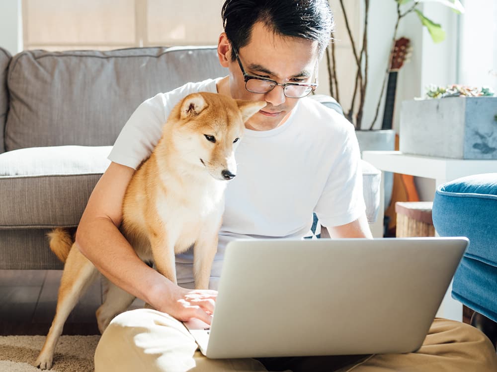 How Online Training Supports Dog Owners and Dog Trainers