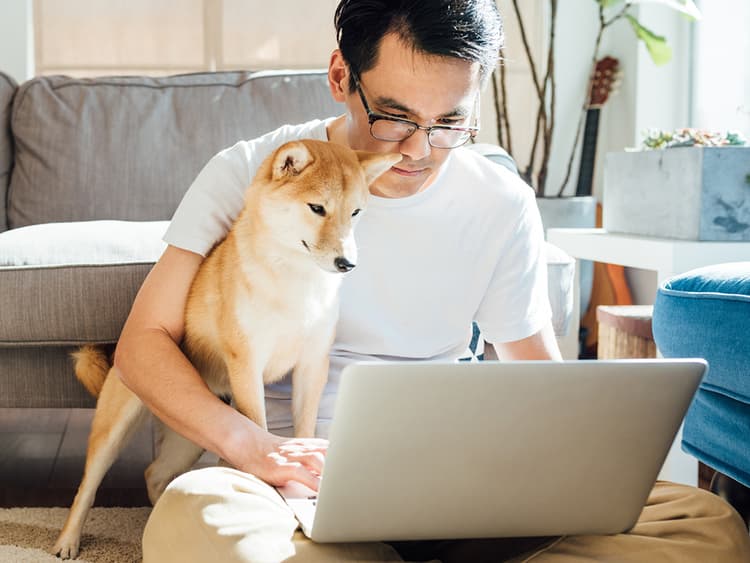 How Online Training Supports Dog Owners and Dog Trainers
