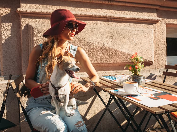 Can Your Shy New Rescue Dog Become a Social Creature?