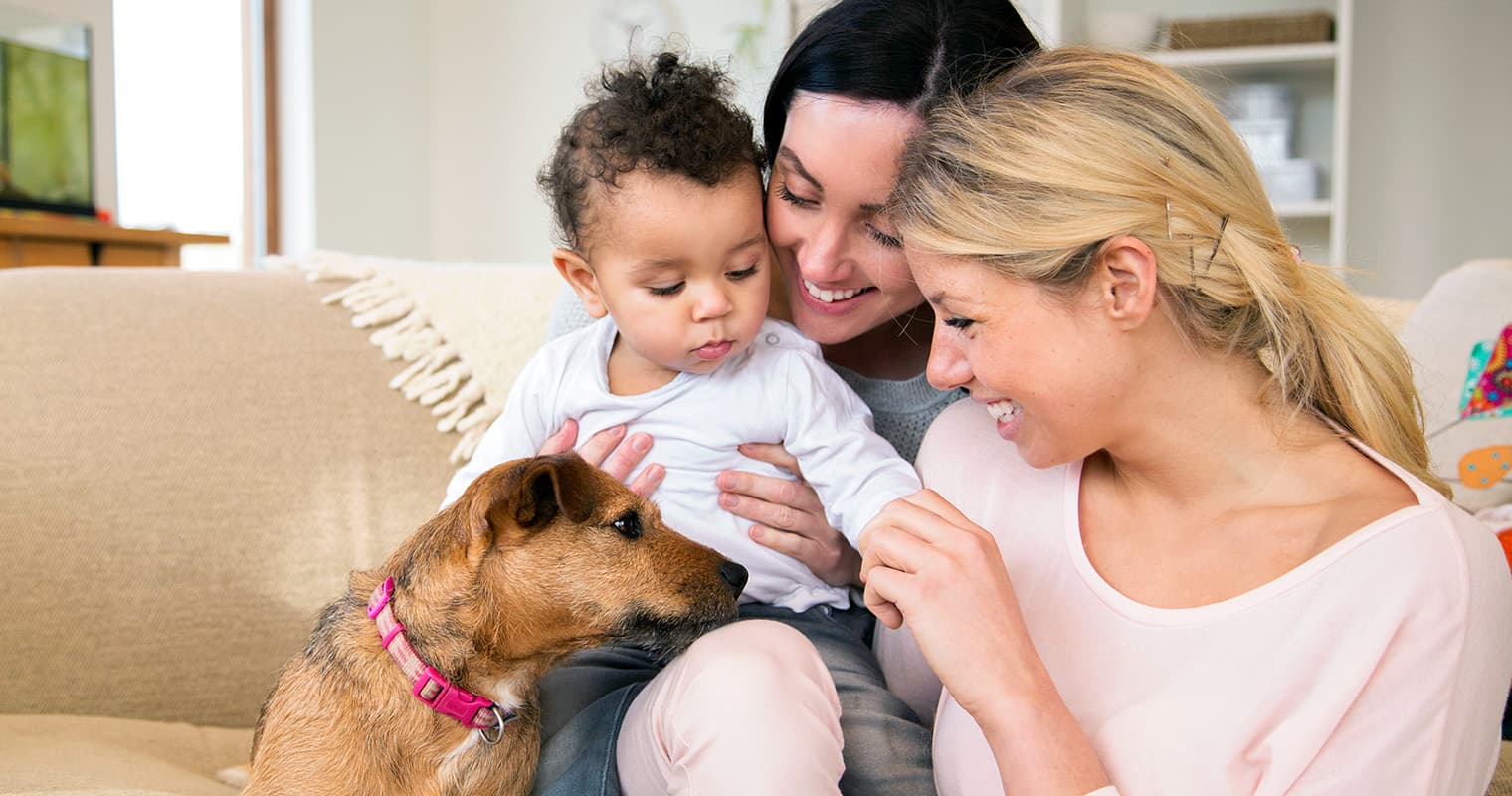 5 Ways to Get Your Dog Ready for a New Baby