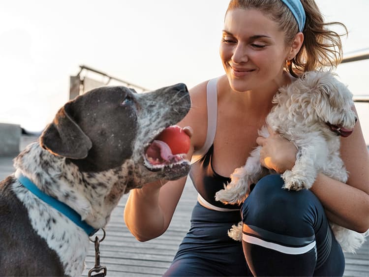 Why Does My Dog Foam at the Mouth?