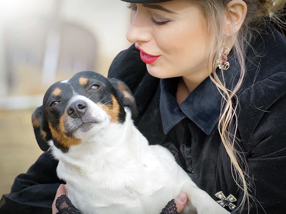 13 Things Your Dog Wishes You Would Stop Doing