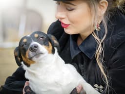 13 Things Your Dog Wishes You Would Stop Doing