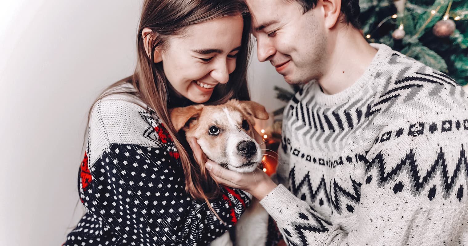 Should You Adopt a Dog or Cat During the Holidays?