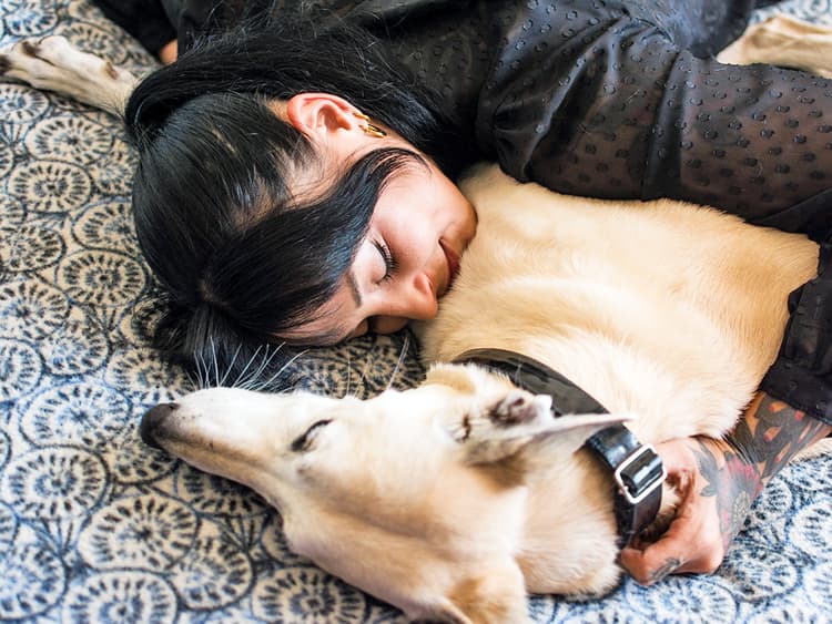Discover Your Dog’s Love Language
