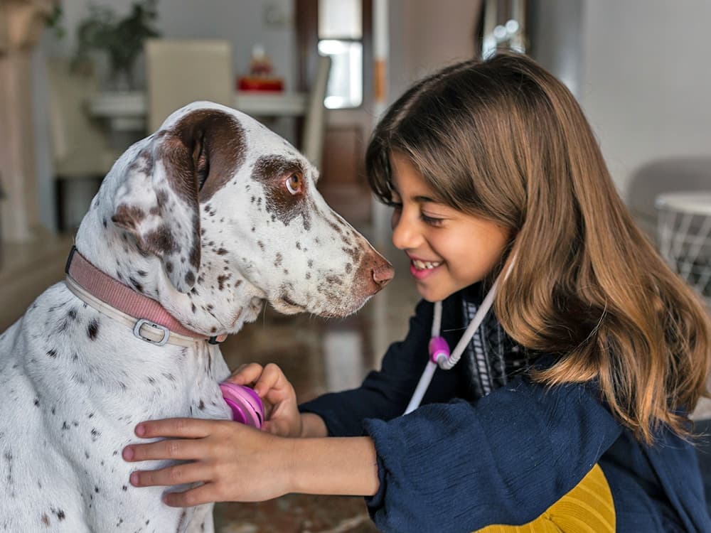 Growing up With a Dog Is Good for Your Gut, New Study Finds