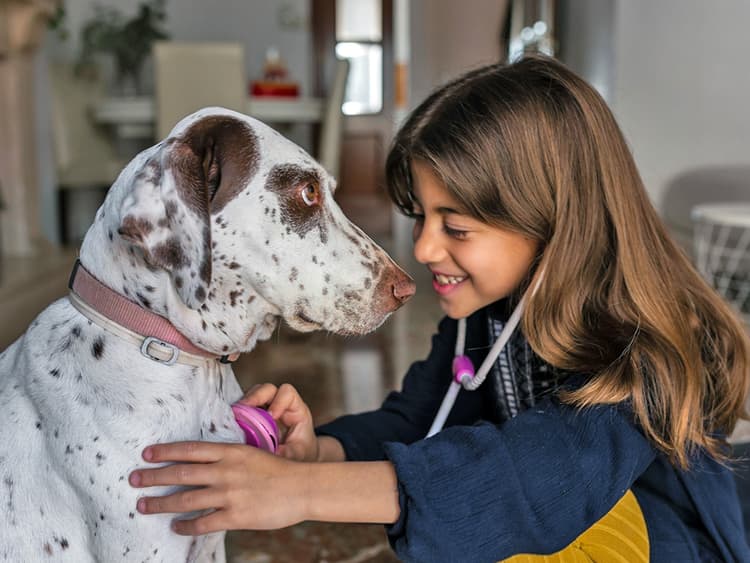 Growing up With a Dog Is Good for Your Gut, New Study Finds