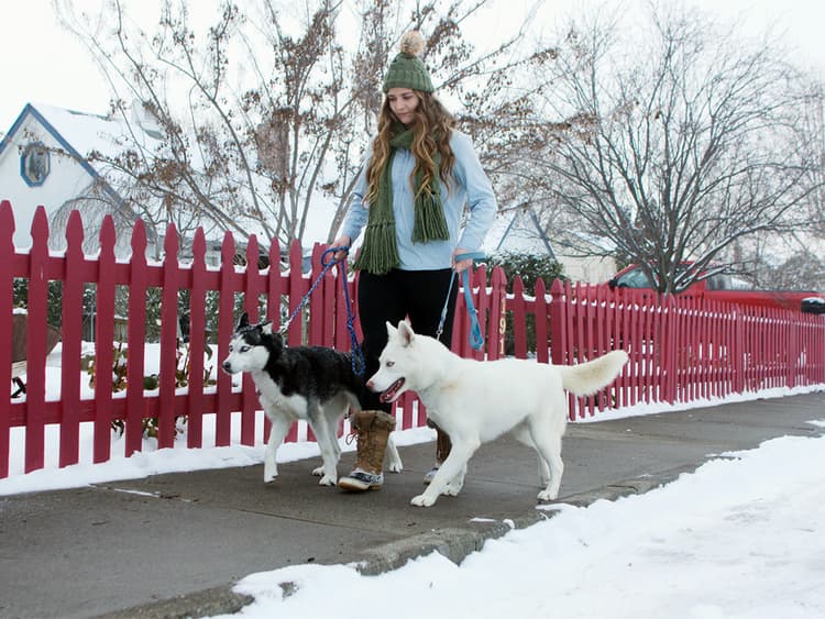 How to Keep Your Dog’s Paws Safe From Snow Salt