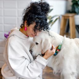 What Medication Can You Give Your Dog for Anxiety?