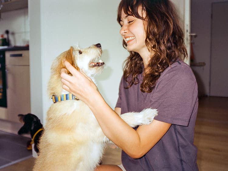 What to Expect When You Bring Home a New Dog from a Shelter
