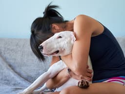 To Cry Is Human—and Apparently Canine