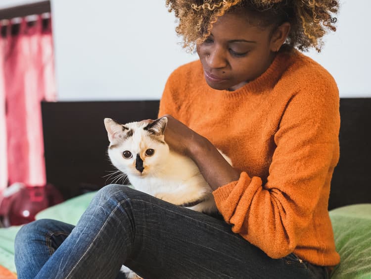 Don’t Come For Us, But Is Your Cat Overweight?