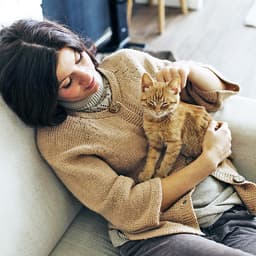 Kitten Diarrhea: Causes, Symptoms, and Treatment