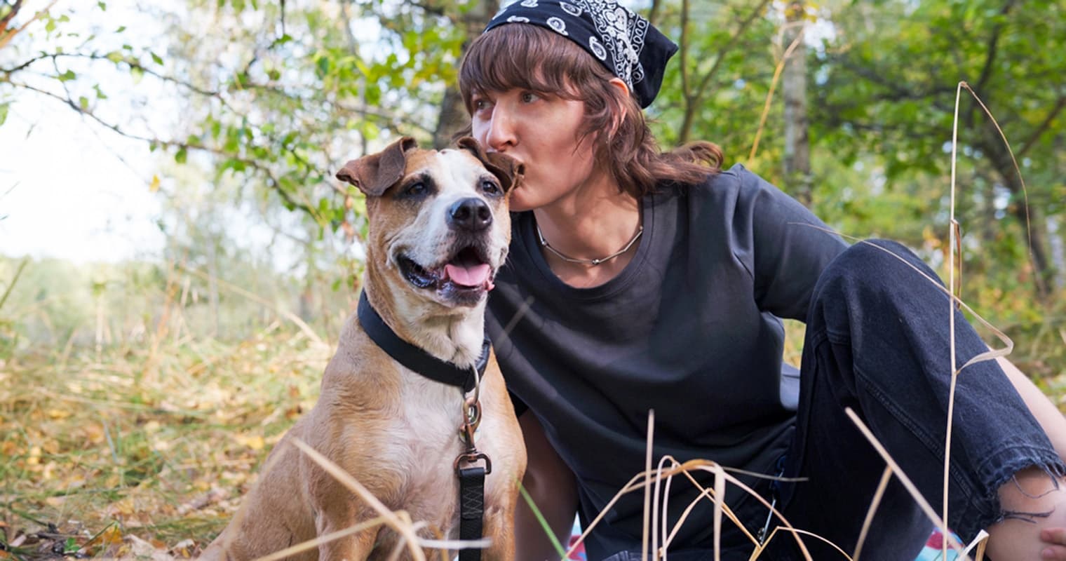 Fospice: Giving Dogs a Loving Home in Their Final Days