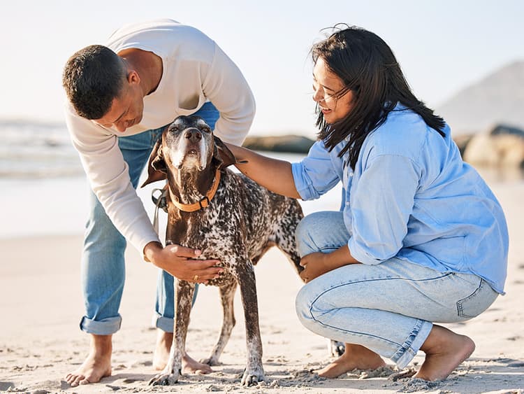 Do Dogs Remember People?