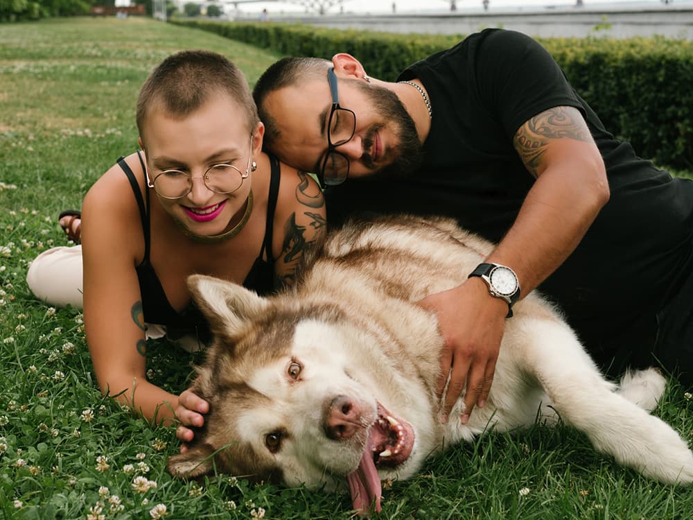 How to Woo Your Way Into Your New Partner’s Pet’s Heart
