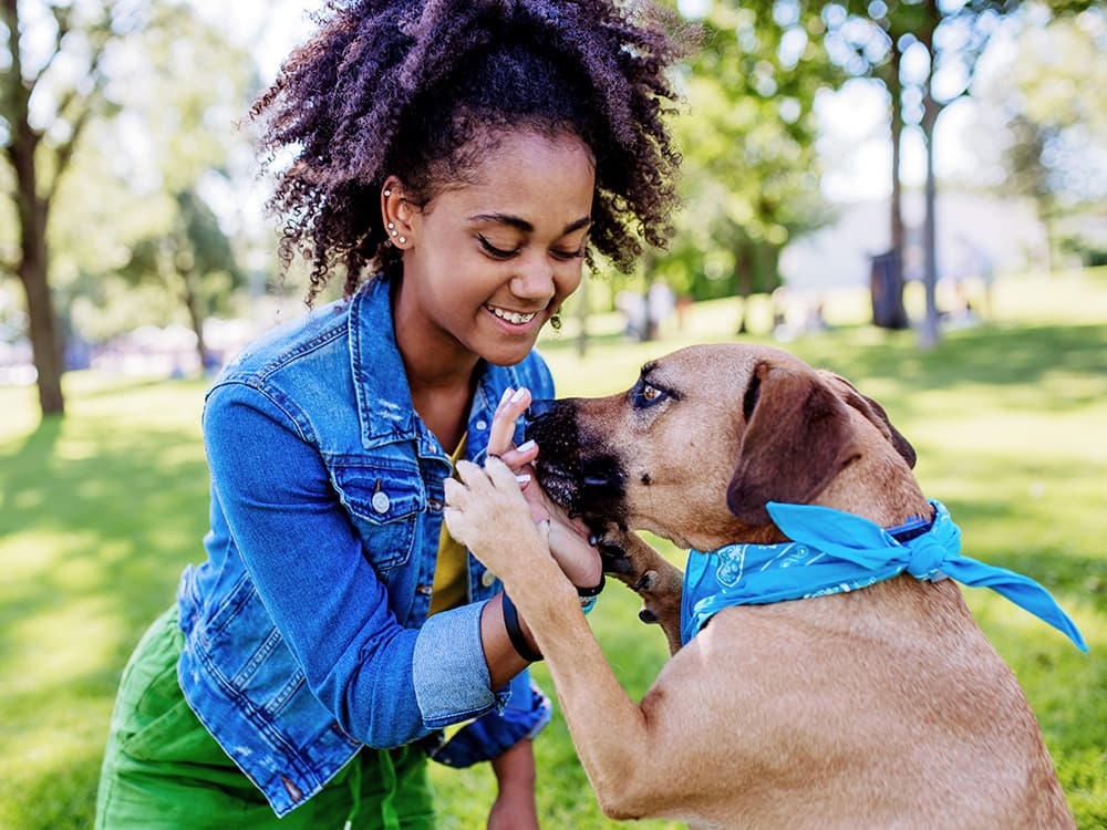 How to Train a Rescue Dog