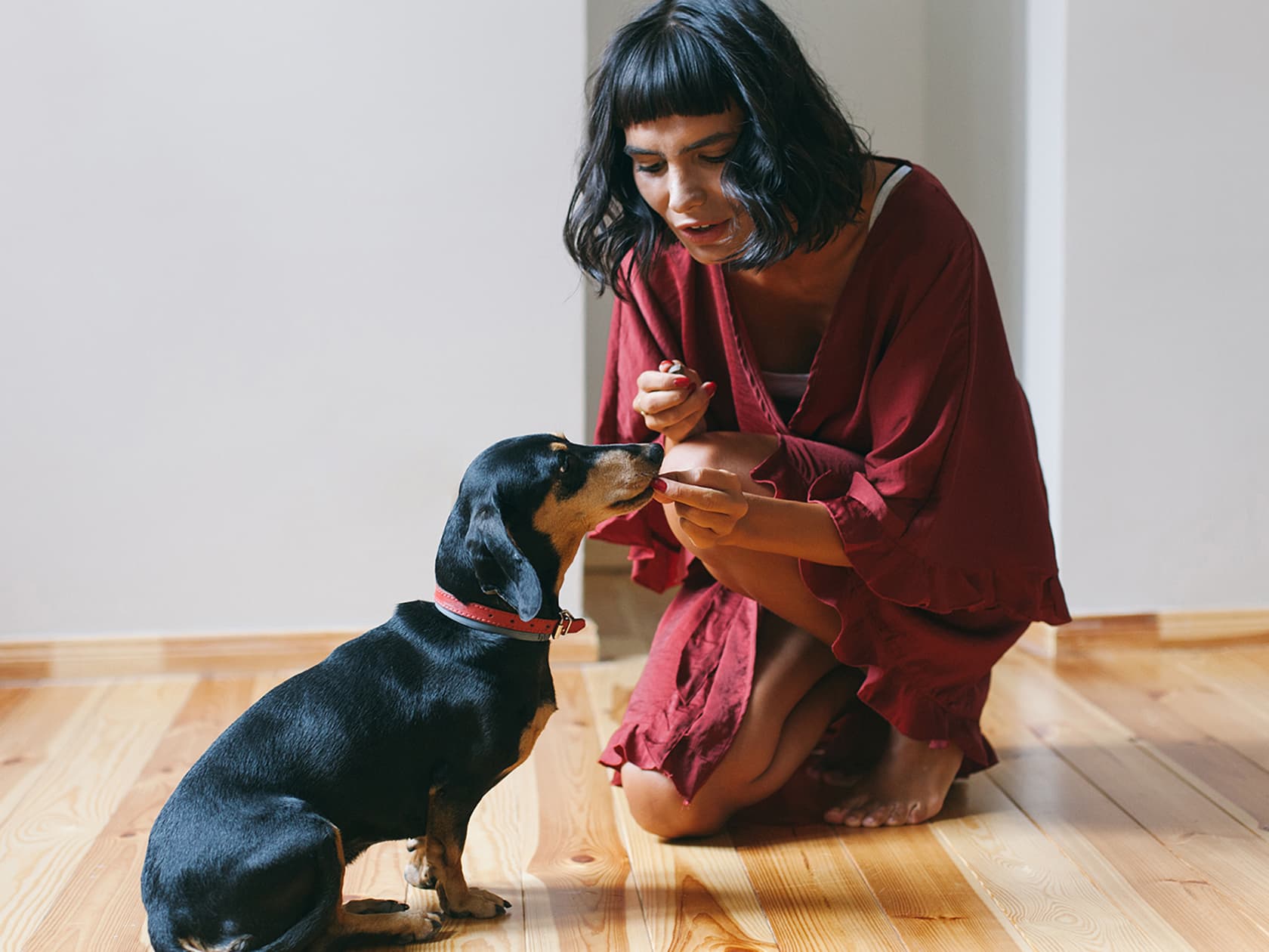 Your Dog Should Do This 30-Day Training Challenge