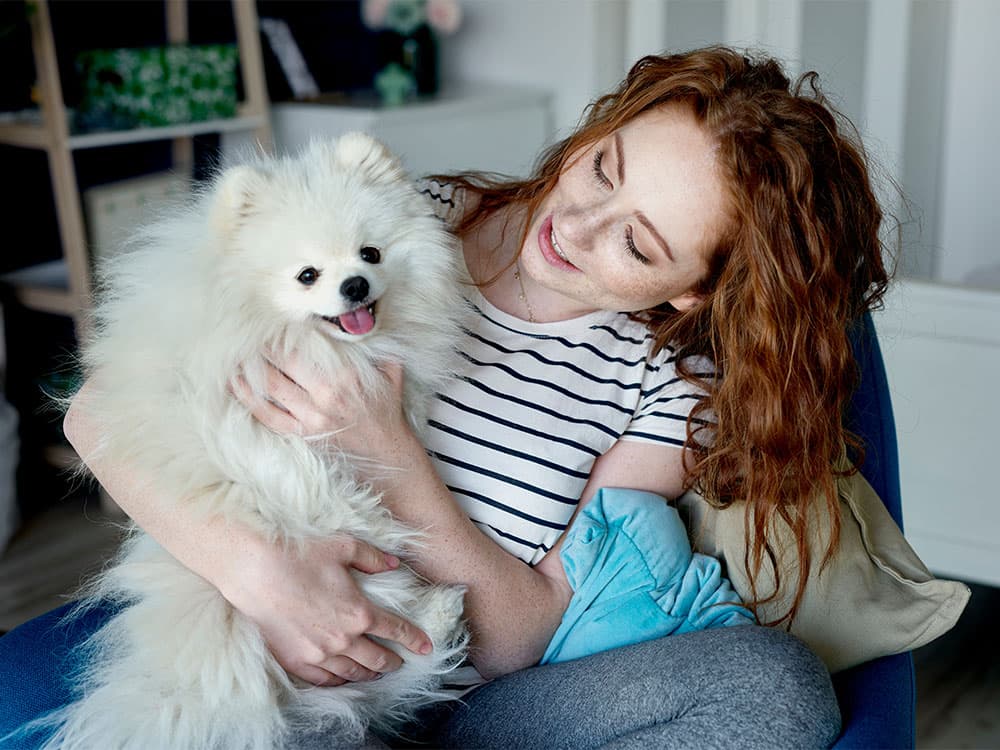 How to Take Care of a Senior Dog