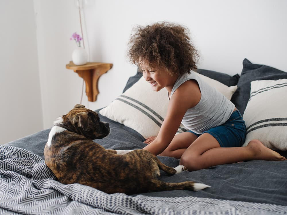Mixed-Breed dog