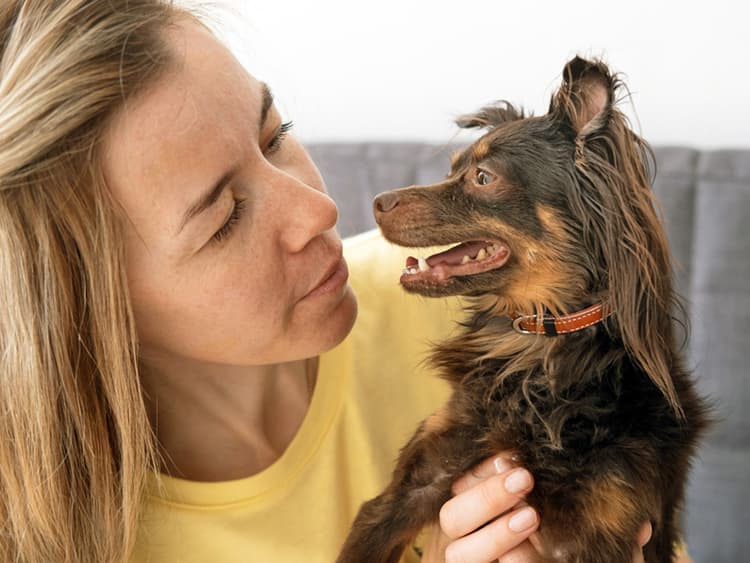 The 4 Most Misunderstood Dog Behaviors