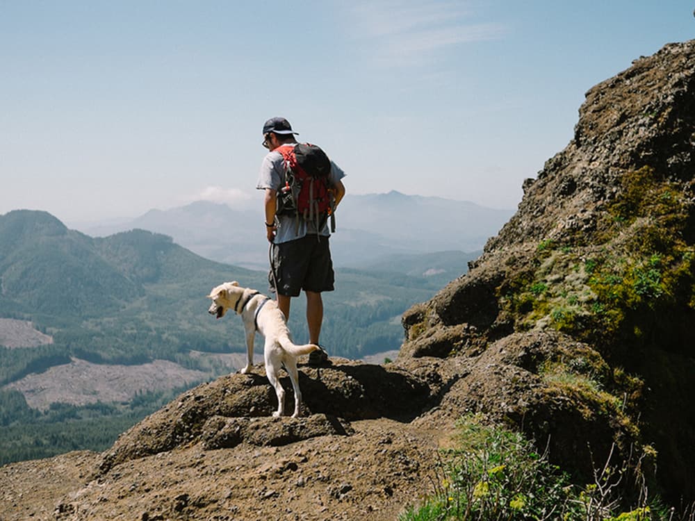 How to Take Silly Little Mental Health Hikes With Your Dog