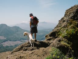 How to Take Silly Little Mental Health Hikes With Your Dog