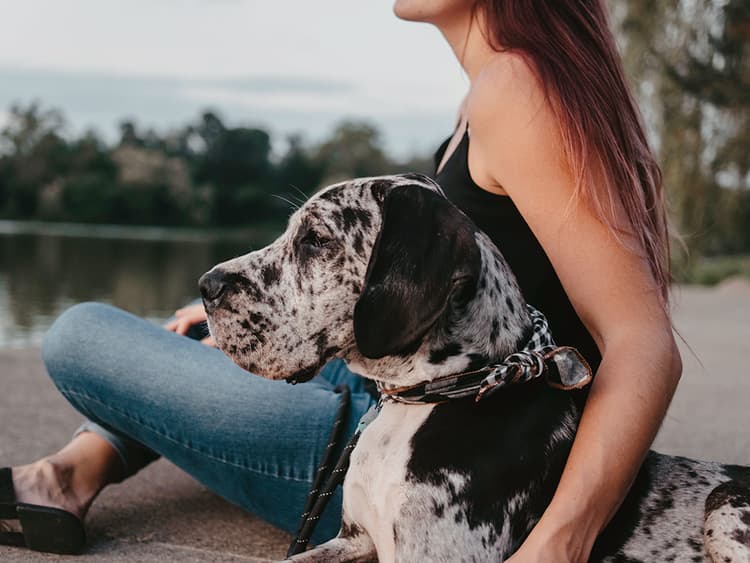 How to Cure Your Dog’s Case of the Everyday Scaries