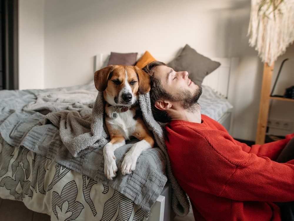 Science Says Certain Sounds Can Help Mellow Out Your Anxious Pet