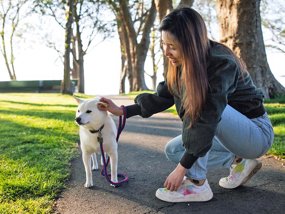 Walking the Dog Doesn’t Have to Be a Chore—What to Try Instead
